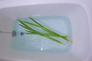 菖蒲湯