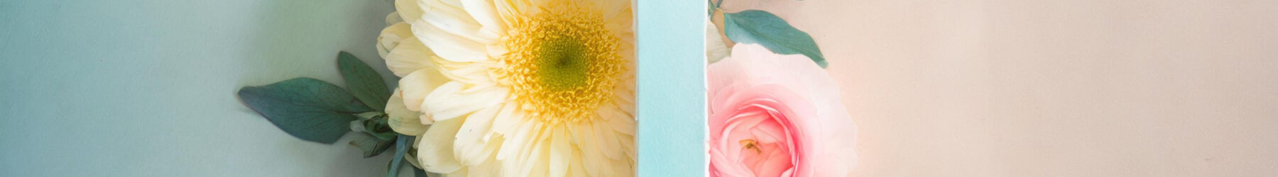 蠍座占い師による、蠍座のためだけの1月運勢が更新されました