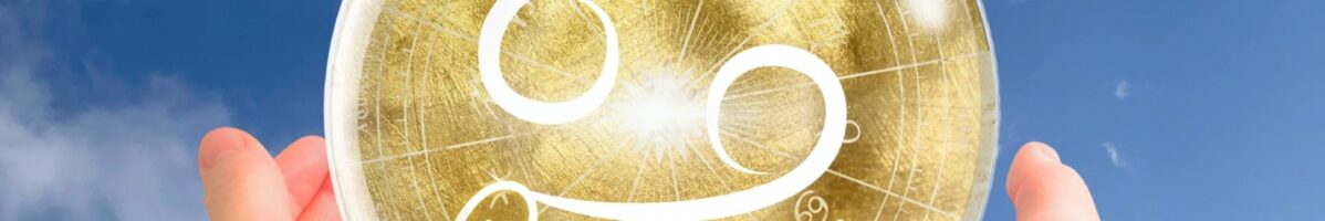 2026/01/03　蟹座の満月　19：03