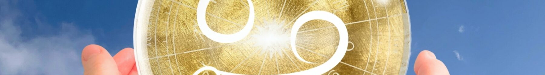 2026/01/03 蟹座の満月 19:03