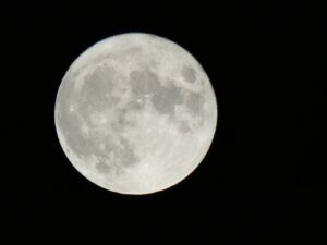 Harvest Moon